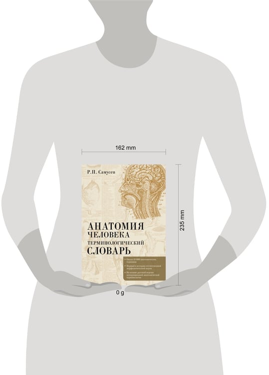 Дополнительное изображение книги «Анатомия человека.Терминологический словарь»
