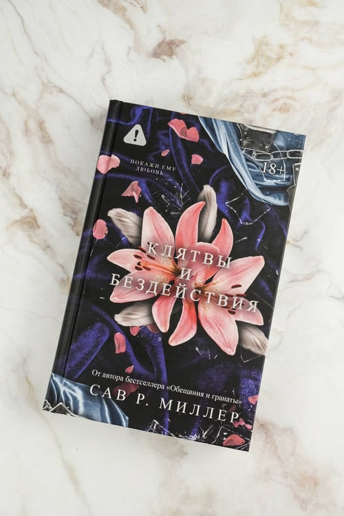 Дополнительное изображение книги «Клятвы и бездействия»