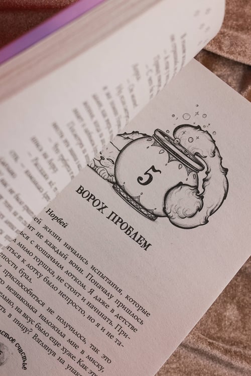 Дополнительное изображение книги «Пушистое счастье»