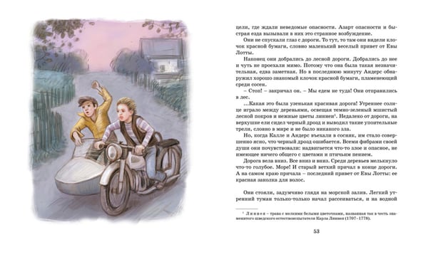 Дополнительное изображение книги «Калле Блумквист и Расмус: повесть»