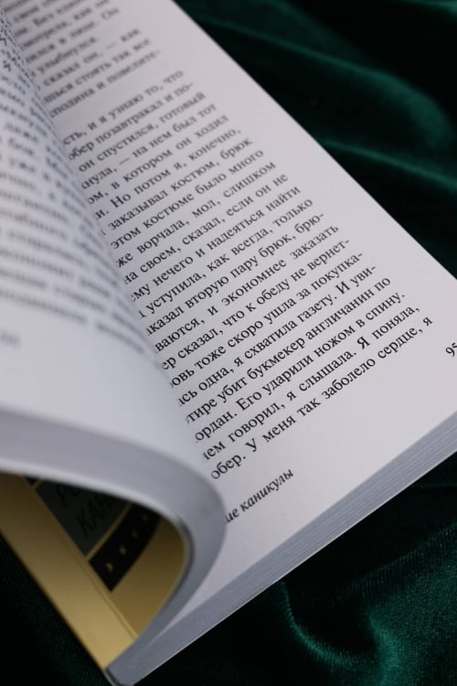 Дополнительное изображение книги «Рождественские каникулы»