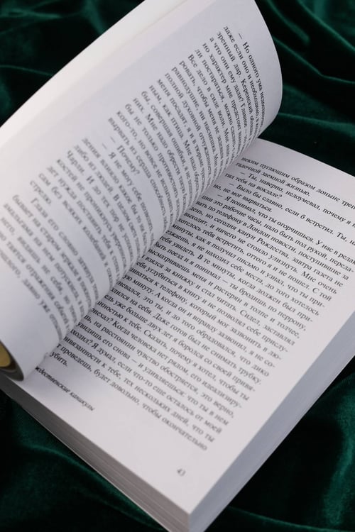 Дополнительное изображение книги «Рождественские каникулы»