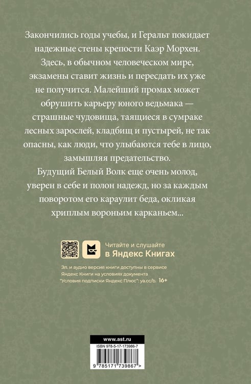 Дополнительное изображение книги «Перекресток воронов»