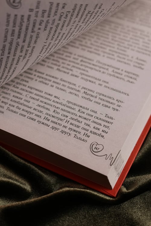 Дополнительное изображение книги «Светя другим — сгораю»