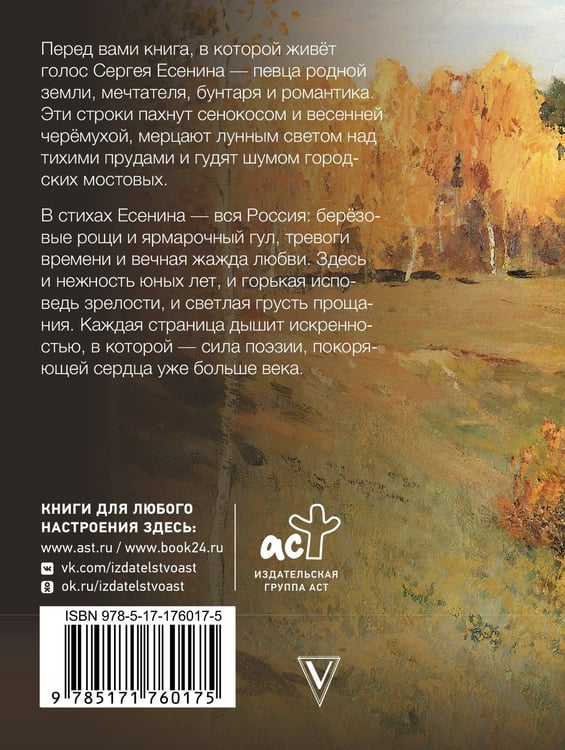 Дополнительное изображение книги «Заметался пожар голубой»