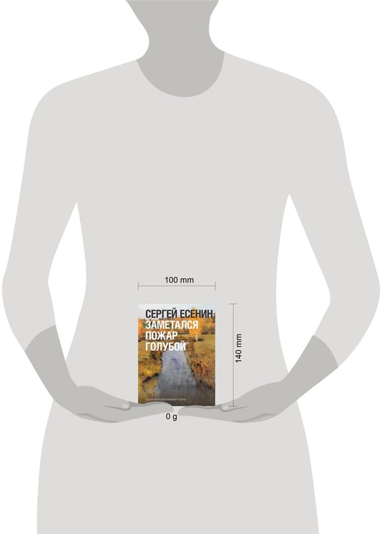 Дополнительное изображение книги «Заметался пожар голубой»