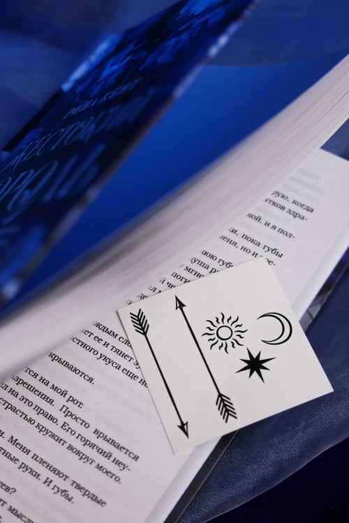 Дополнительное изображение книги «Жестокий король»
