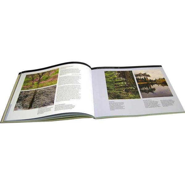 Дополнительное изображение книги «Искусство цифровой пейзажной фотографии. Художественные и технические приемы»