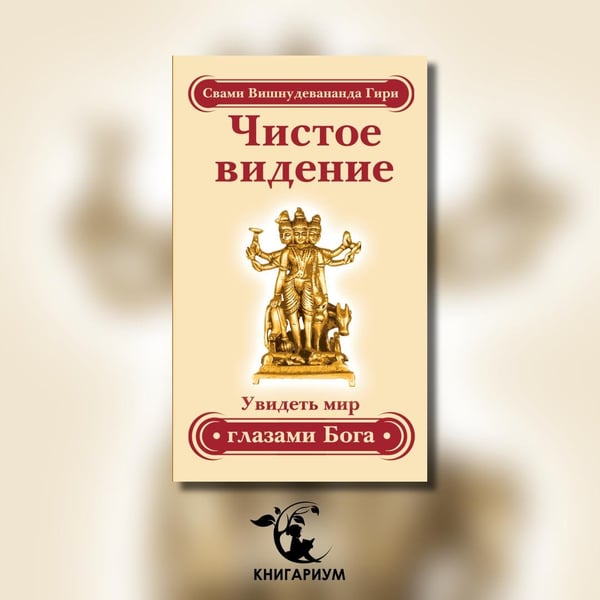 Дополнительное изображение книги «Чистое видение. Увидеть мир глазами Бога»
