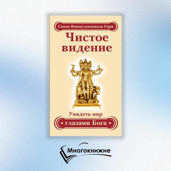 Дополнительное изображение книги «Чистое видение. Увидеть мир глазами Бога»