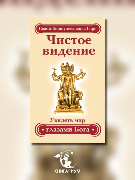 Дополнительное изображение книги «Чистое видение. Увидеть мир глазами Бога»
