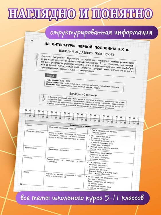 Дополнительное изображение книги «Литература: 5-11 классы»
