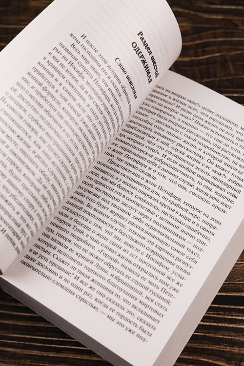 Дополнительное изображение книги «Иосиф и его братья. Том 2»
