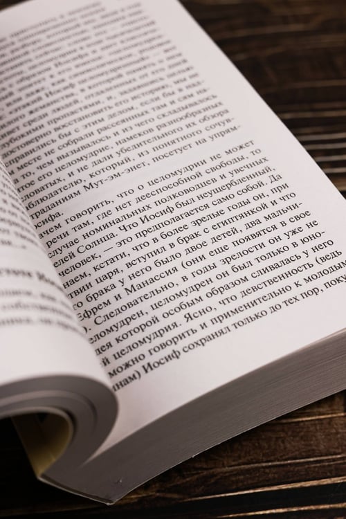 Дополнительное изображение книги «Иосиф и его братья. Том 2»