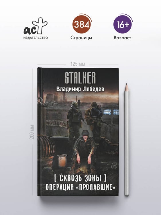Дополнительное изображение книги «Сквозь Зоны. Операция "Пропавшие"»