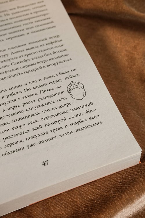 Дополнительное изображение книги «Мелодия опавших листьев»