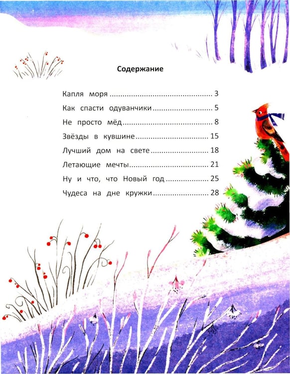 Дополнительное изображение книги «Звезды в кувшине»