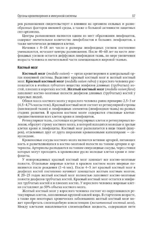 Дополнительное изображение книги «Анатомия человека: Учебник: в 2 т. Т. 2»