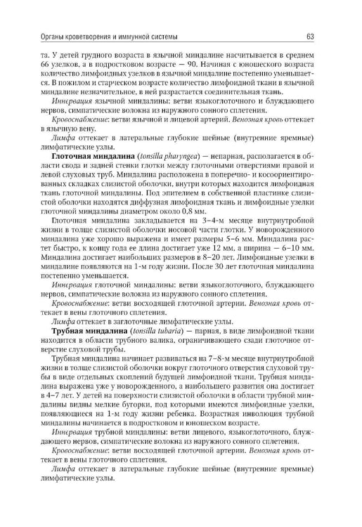 Дополнительное изображение книги «Анатомия человека: Учебник: в 2 т. Т. 2»