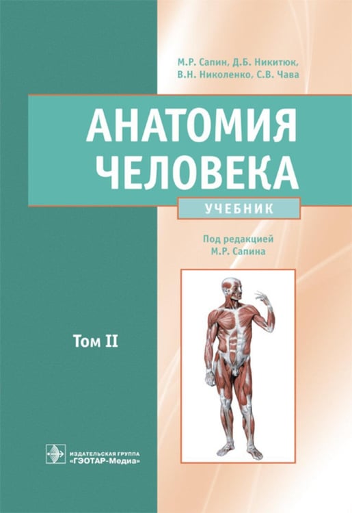 Обложка книги «Анатомия человека: Учебник: в 2 т. Т. 2» — Никитюк Дмитрий Борисович;Сапин Михаил Романович;Николенко Владимир Николаевич, ISBN 9785970493717