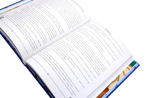 Дополнительное изображение книги «Такие разные драконы (комплект из 2-х книг)»