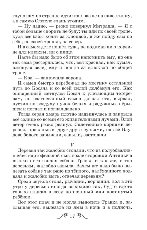 Дополнительное изображение книги «Кладовая Солнца»
