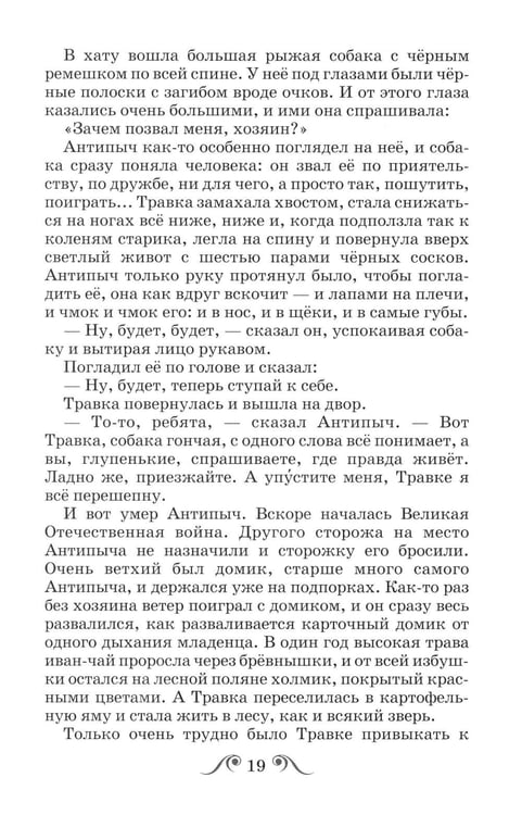 Дополнительное изображение книги «Кладовая Солнца»