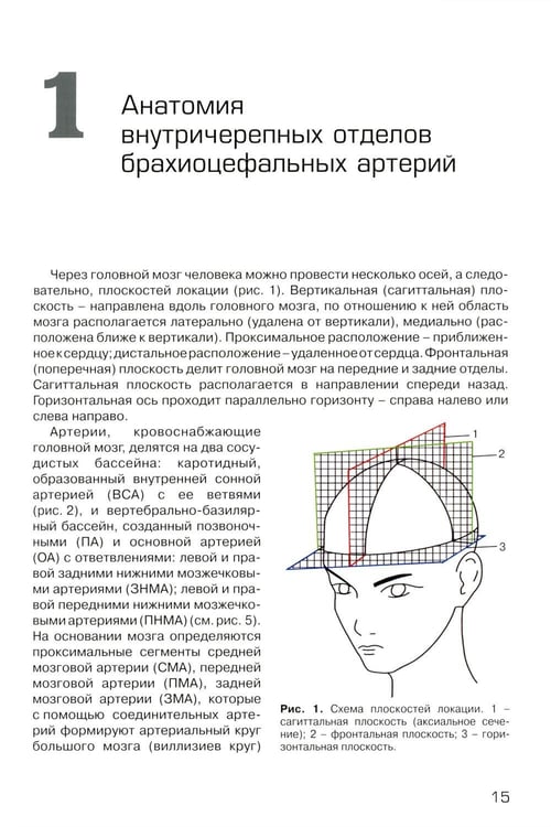 Дополнительное изображение книги «Дуплексное сканирование внутричерепных отделов брахиоцефальных артерий и вен. Учебное пособие»