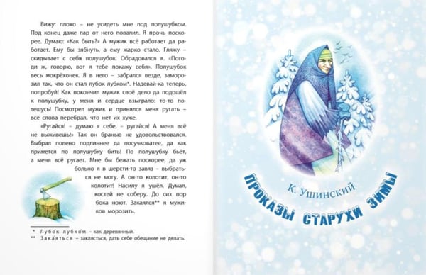Дополнительное изображение книги «Студеные сказки»
