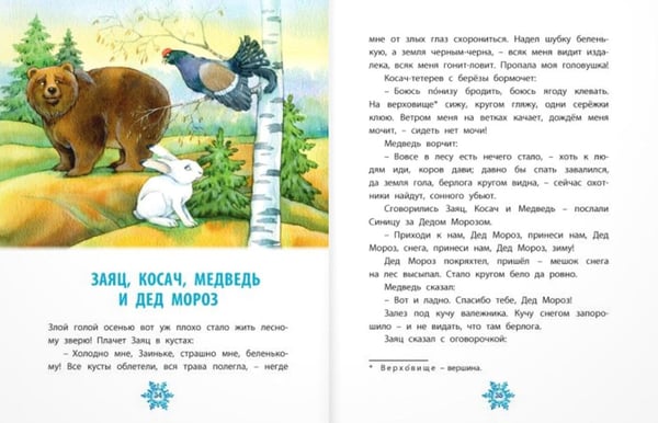 Дополнительное изображение книги «Студеные сказки»