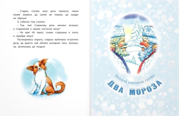 Дополнительное изображение книги «Студеные сказки»
