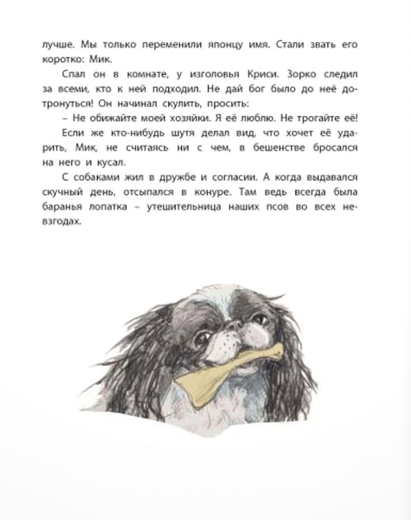 Дополнительное изображение книги «Тузик, Рыжий и гости»