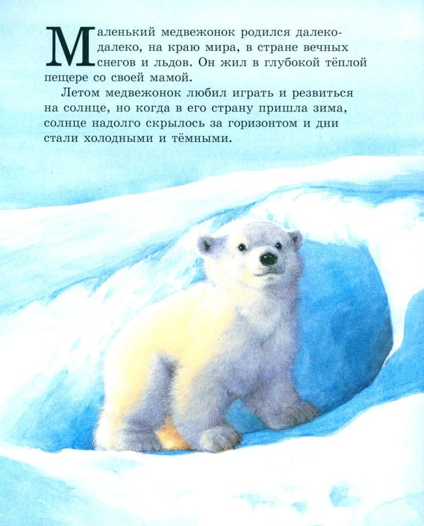 Дополнительное изображение книги «Как медвежонок солнце искал»