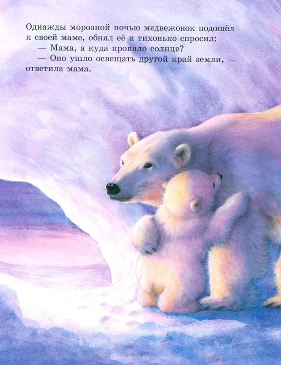 Дополнительное изображение книги «Как медвежонок солнце искал»