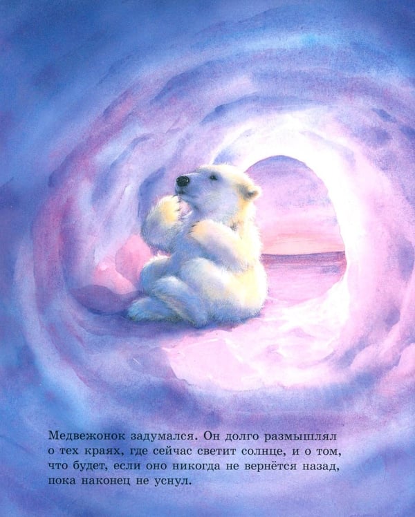 Дополнительное изображение книги «Как медвежонок солнце искал»