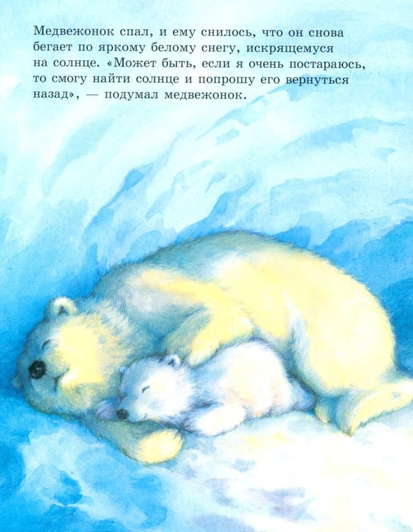 Дополнительное изображение книги «Как медвежонок солнце искал»
