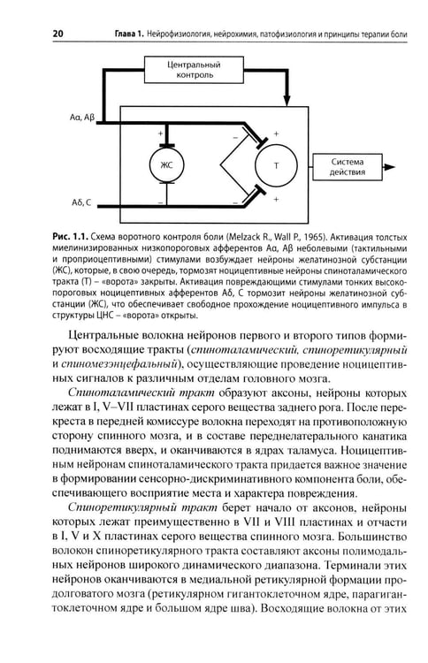 Дополнительное изображение книги «Боль. Практическое руководство»