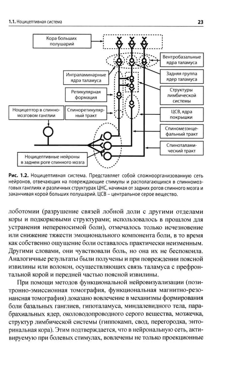 Дополнительное изображение книги «Боль. Практическое руководство»