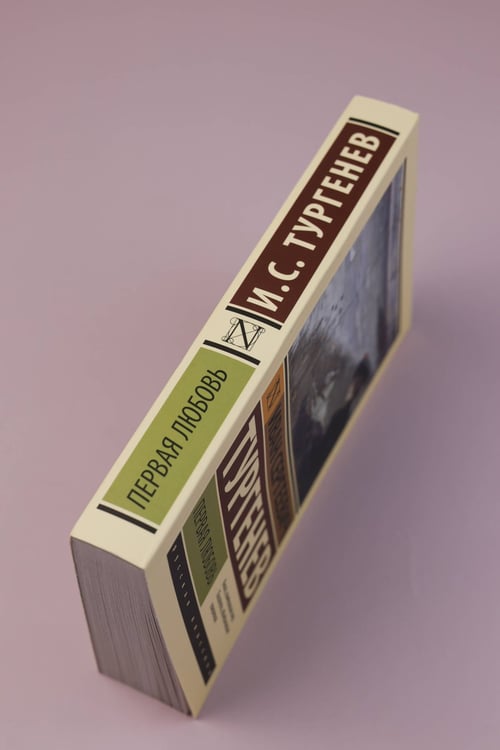 Дополнительное изображение книги «Первая любовь»