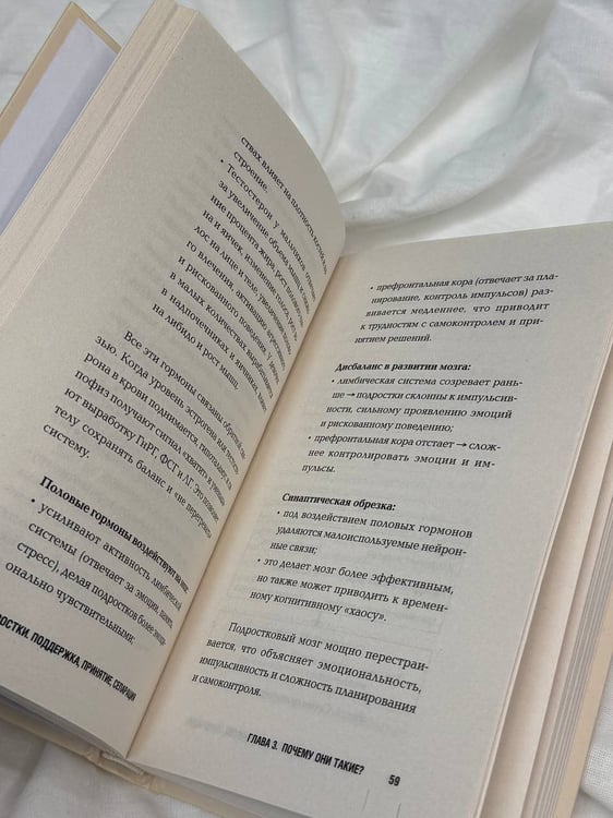 Дополнительное изображение книги «Подростки. Поддержка, принятие, сепарация»