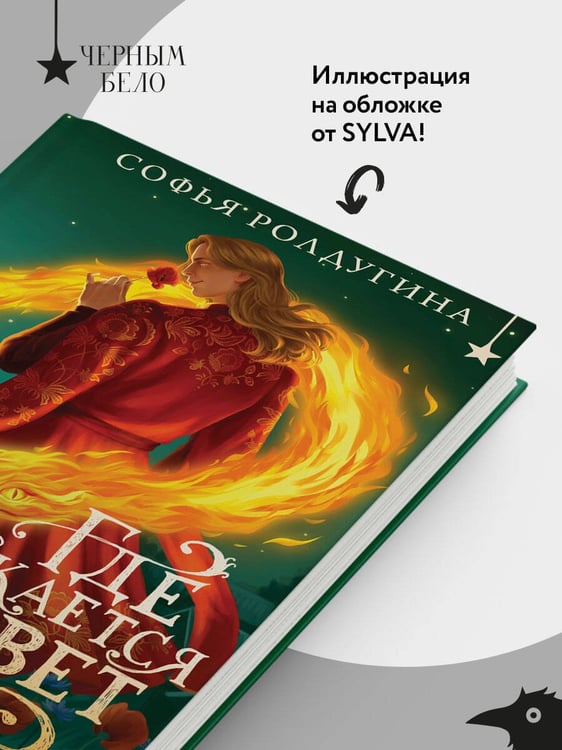Дополнительное изображение книги «Где распускается алоцвет»