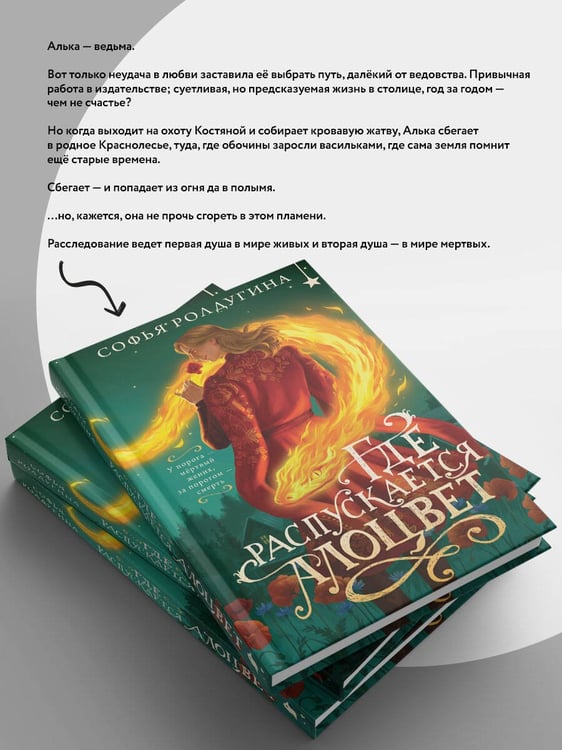 Дополнительное изображение книги «Где распускается алоцвет»
