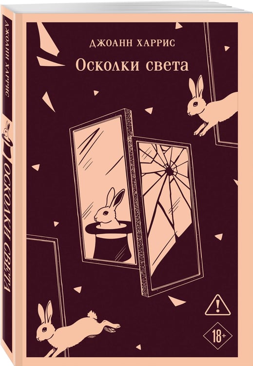 Дополнительное изображение книги «Осколки света»