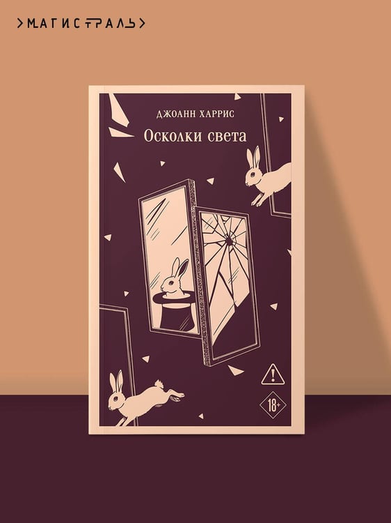 Дополнительное изображение книги «Осколки света»