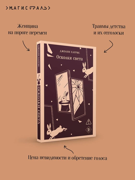 Дополнительное изображение книги «Осколки света»