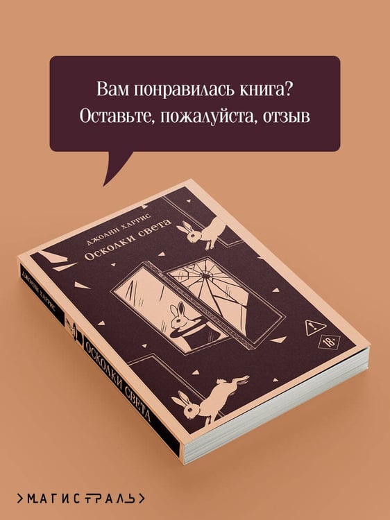 Дополнительное изображение книги «Осколки света»
