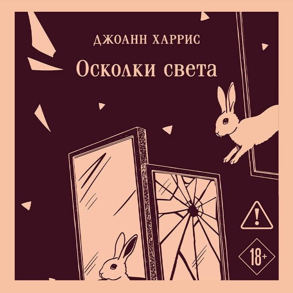 Дополнительное изображение книги «Осколки света»