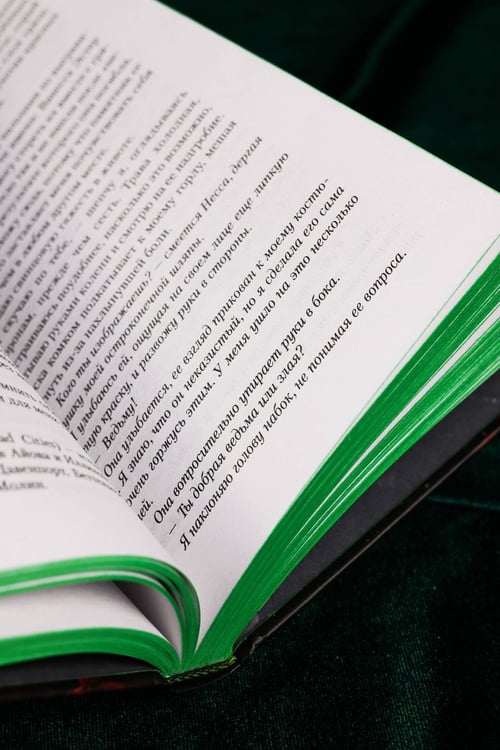 Дополнительное изображение книги «Скверная. Специальное издание»