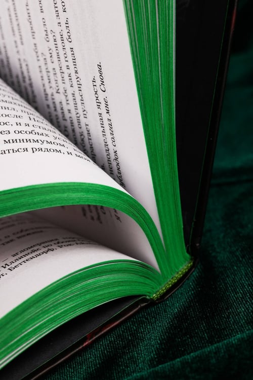 Дополнительное изображение книги «Скверная. Специальное издание»