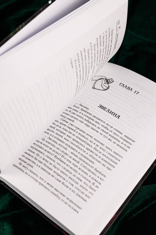 Дополнительное изображение книги «Скверная»